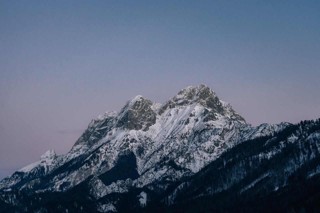 ORIS豪利时米兰：2050app详情下载教程