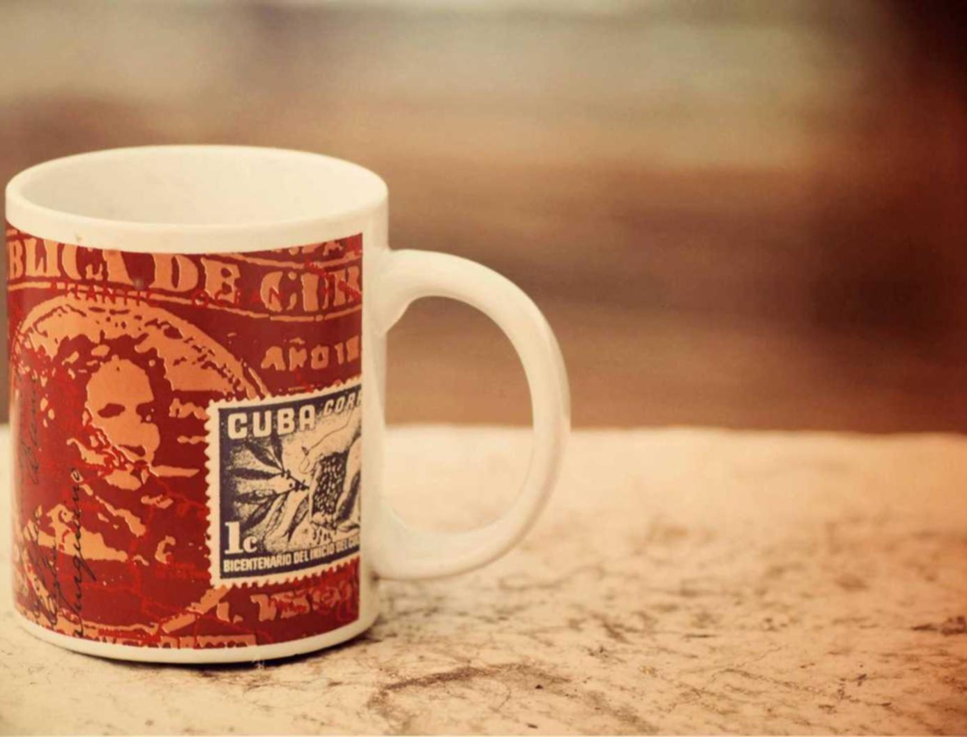 海豚之星爱维宝贝app详情下载教程