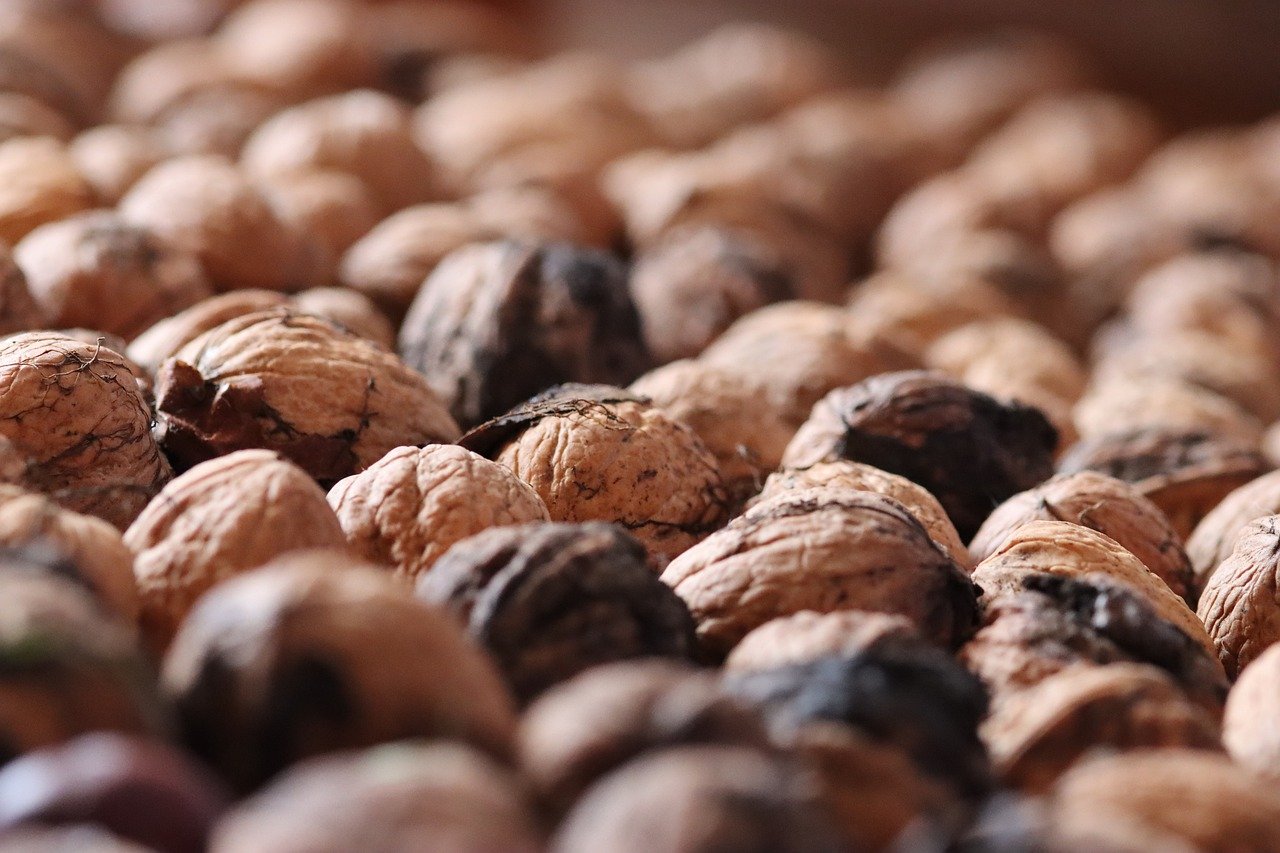 元素方尖：快手自助平台代理