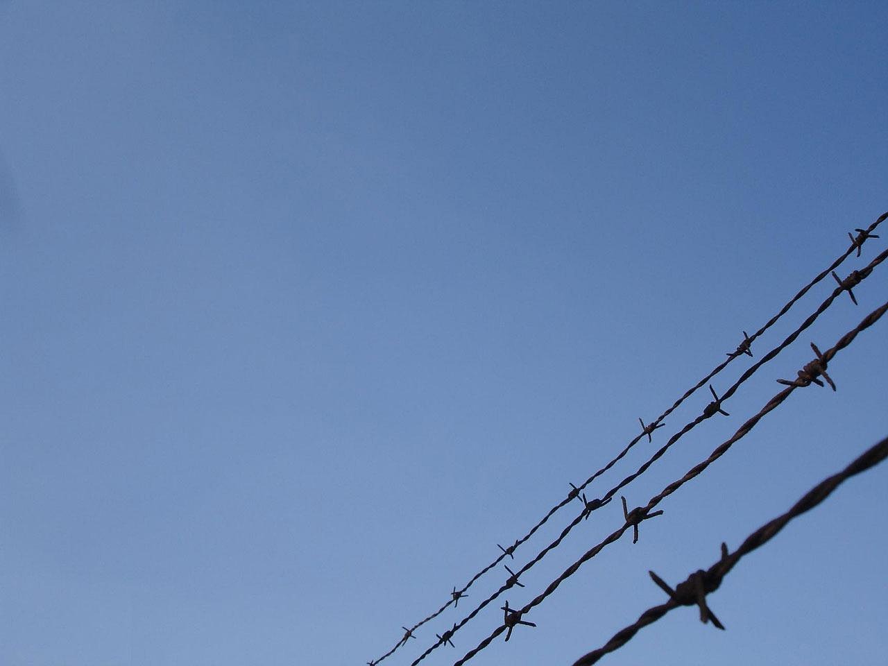 长期吸烟对于脑健康的影响