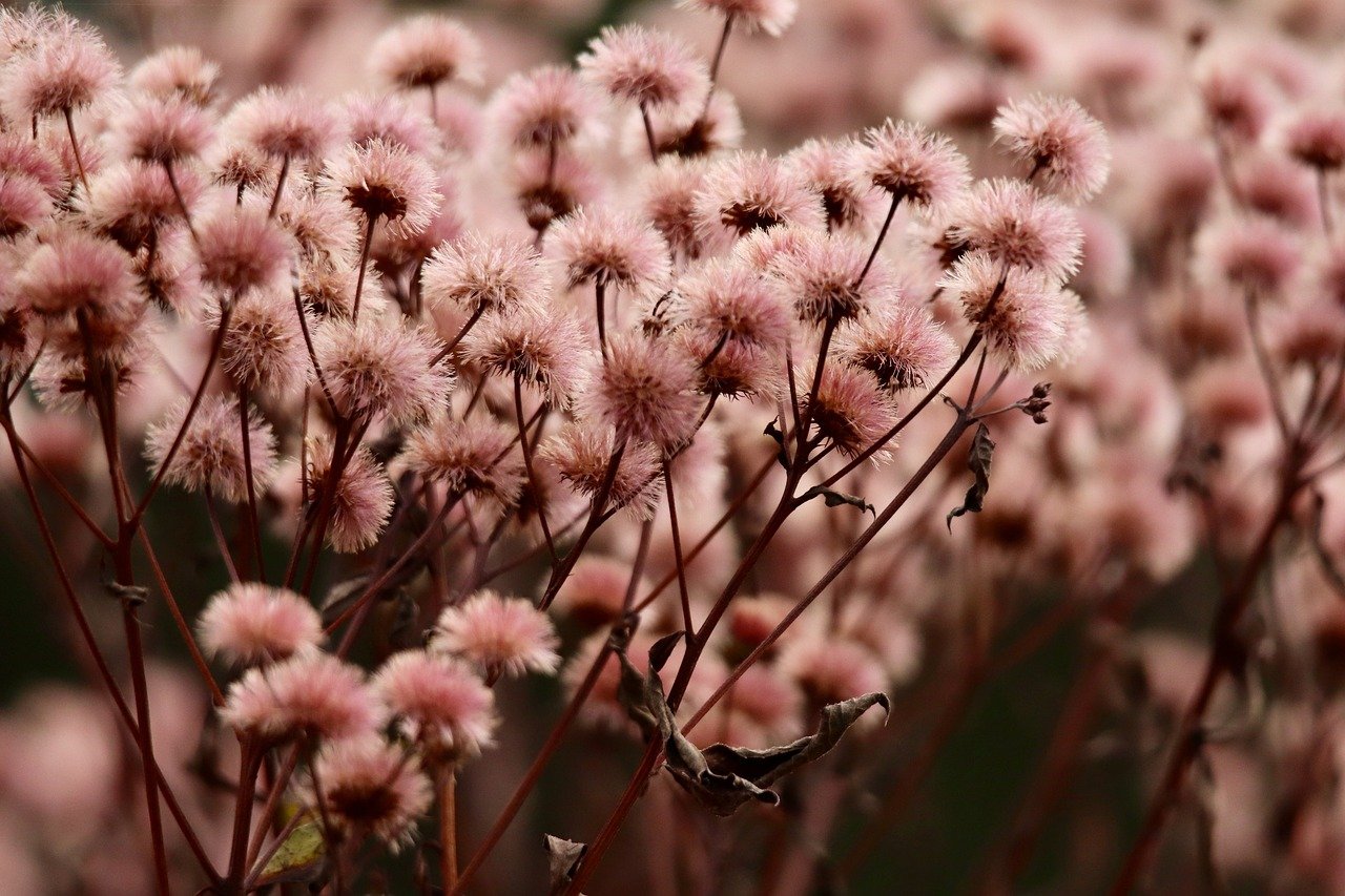 香烟和信仰和宗教