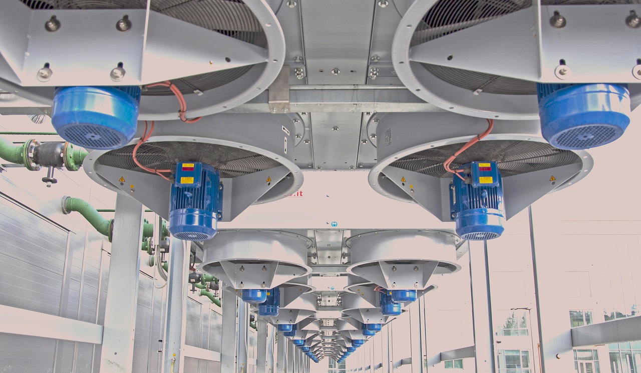 方盒欧盟七星蓝莓：杭州旅游公司注册代理业务