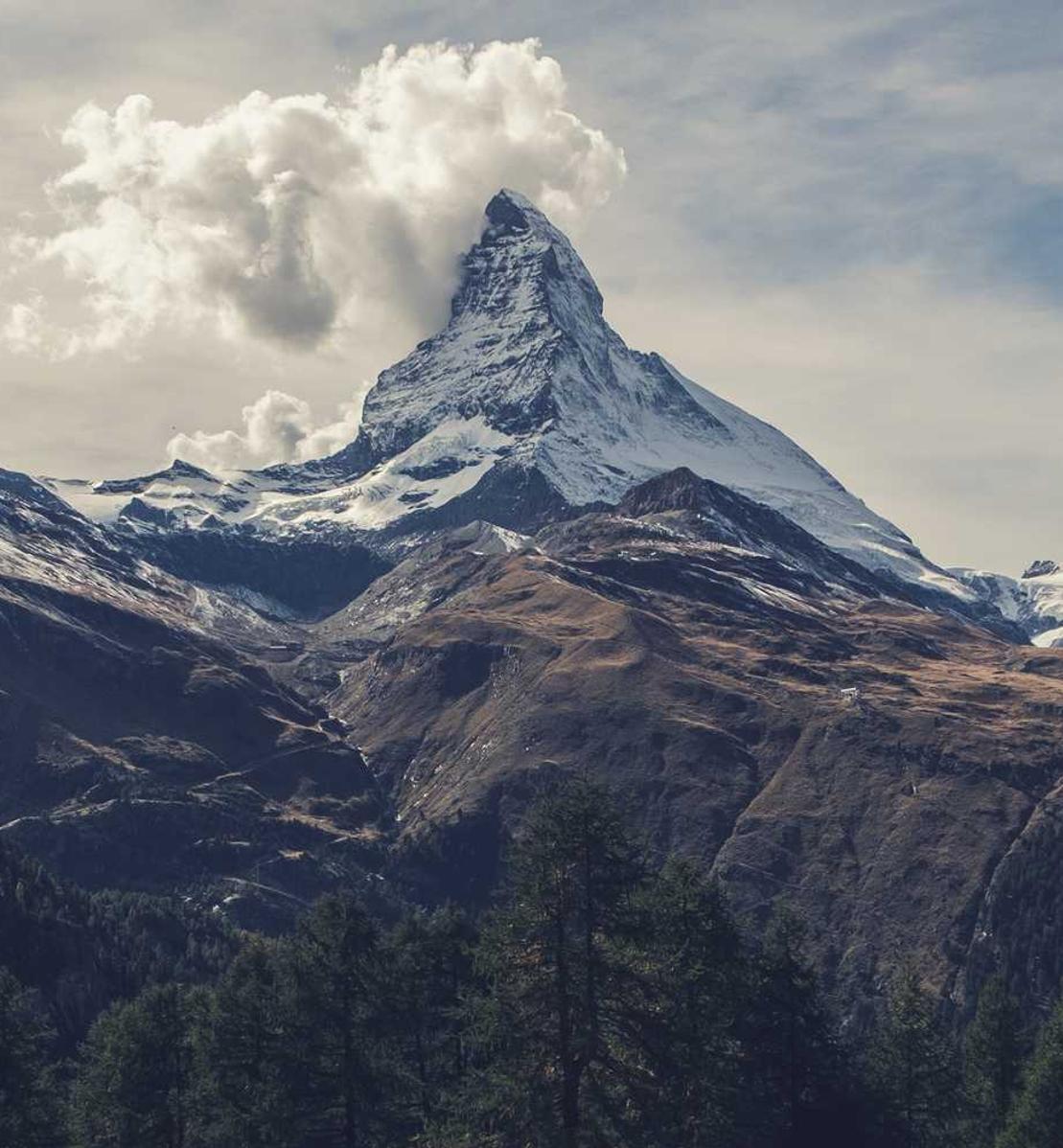 香烟行业是否会继续繁荣发展？