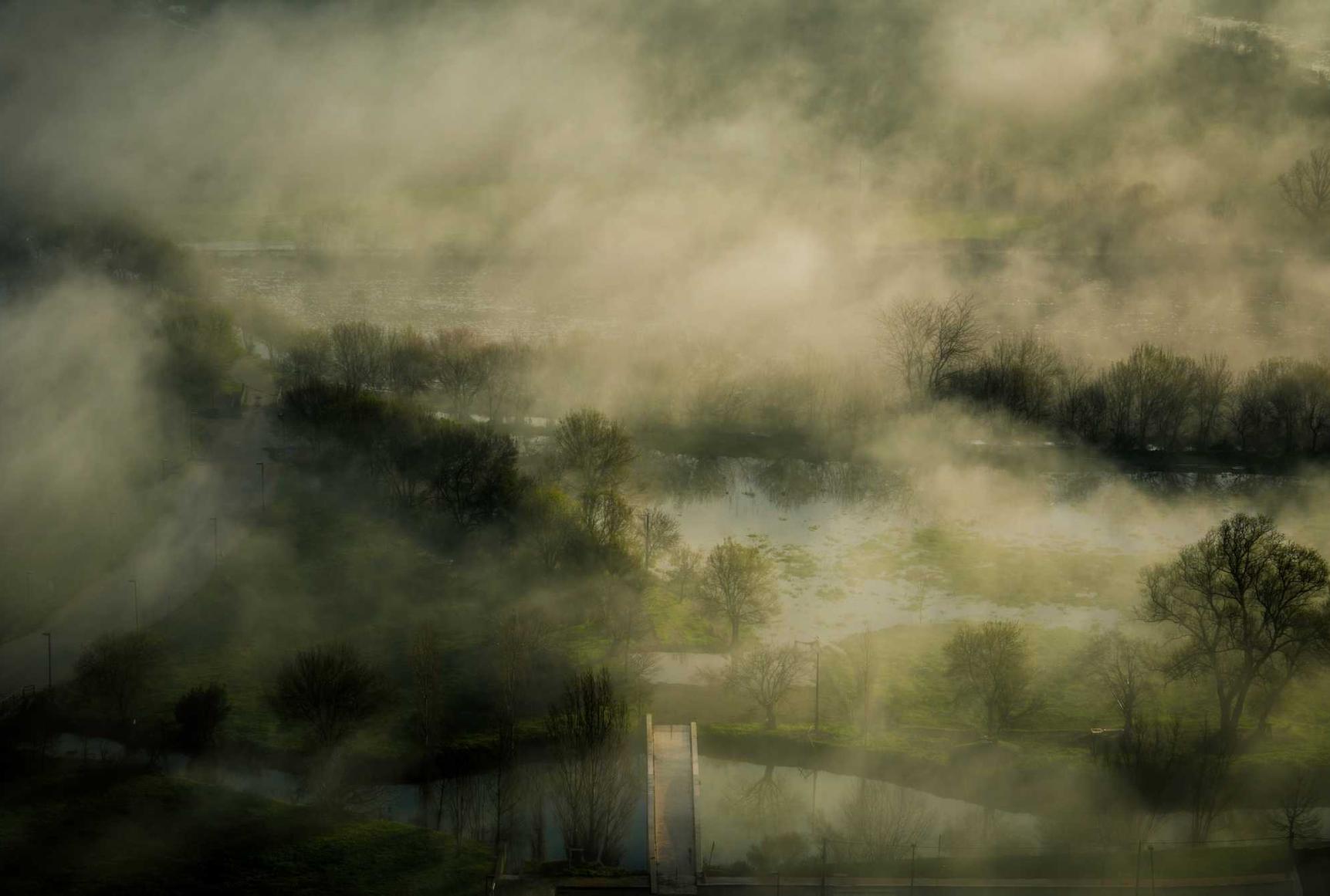 蓝猫移动实名账号：生鲜购买平台推荐