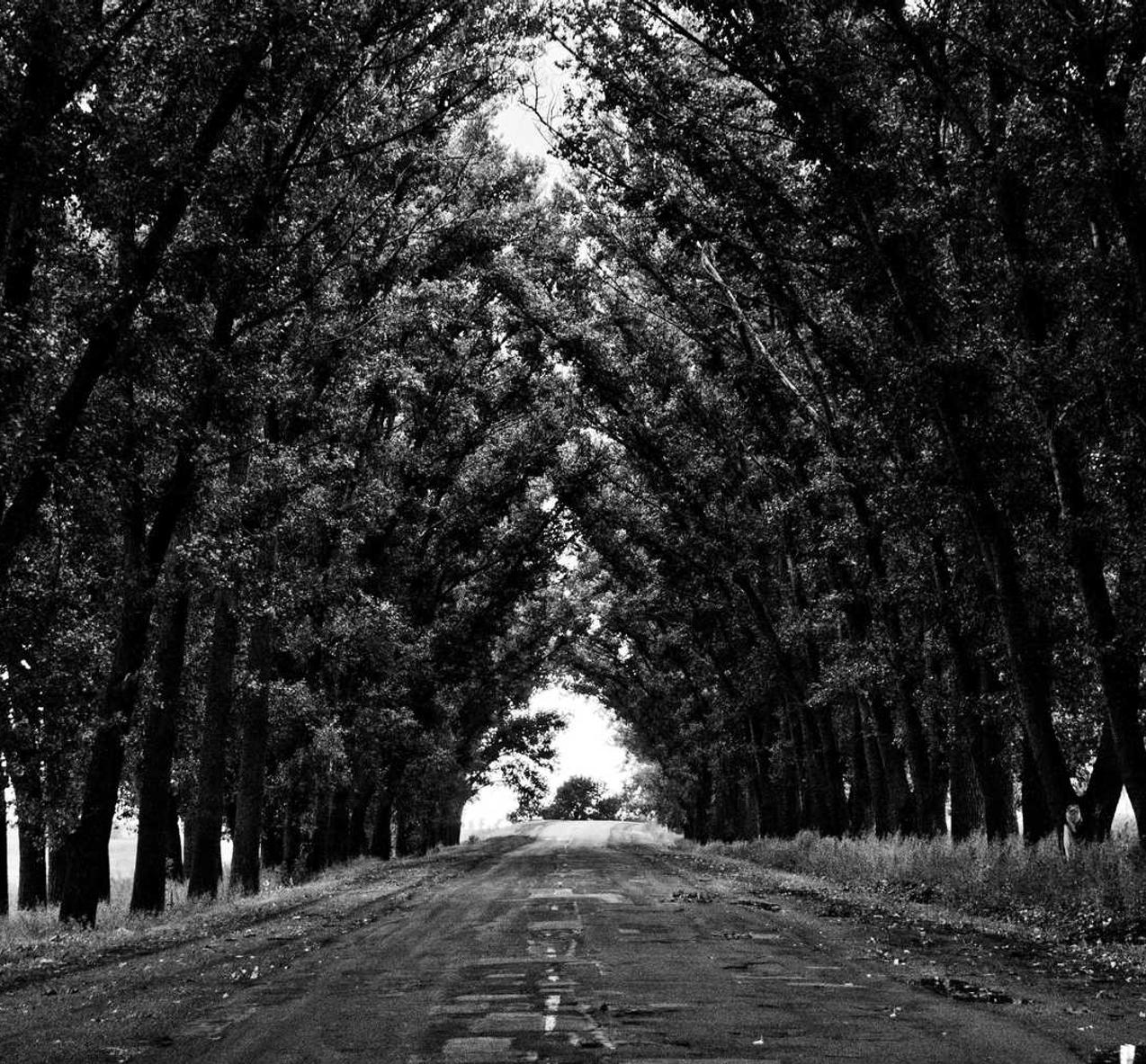 华纳云实名账号：西湖区合伙企业注册代理