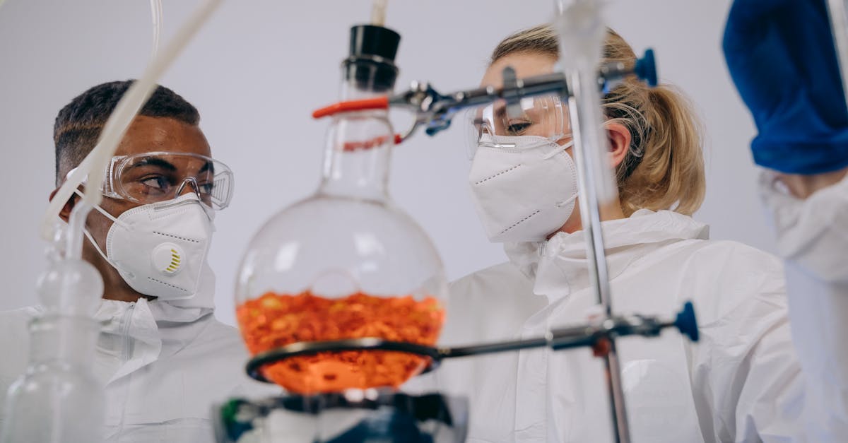 DDOS攻击器|代理注册公司办理时间